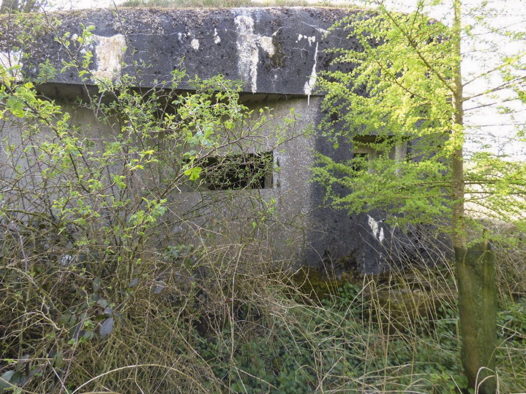 Ligne Maginot - B800 - MOMIGNIES - (Blockhaus pour canon) -  - JMBrams