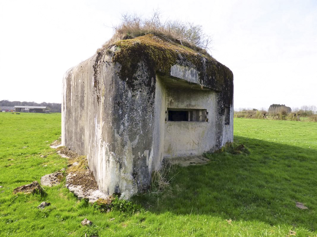Ligne Maginot - B799 - L'ANGOUNERIE SUD - (Blockhaus pour canon) -  - JMBrams