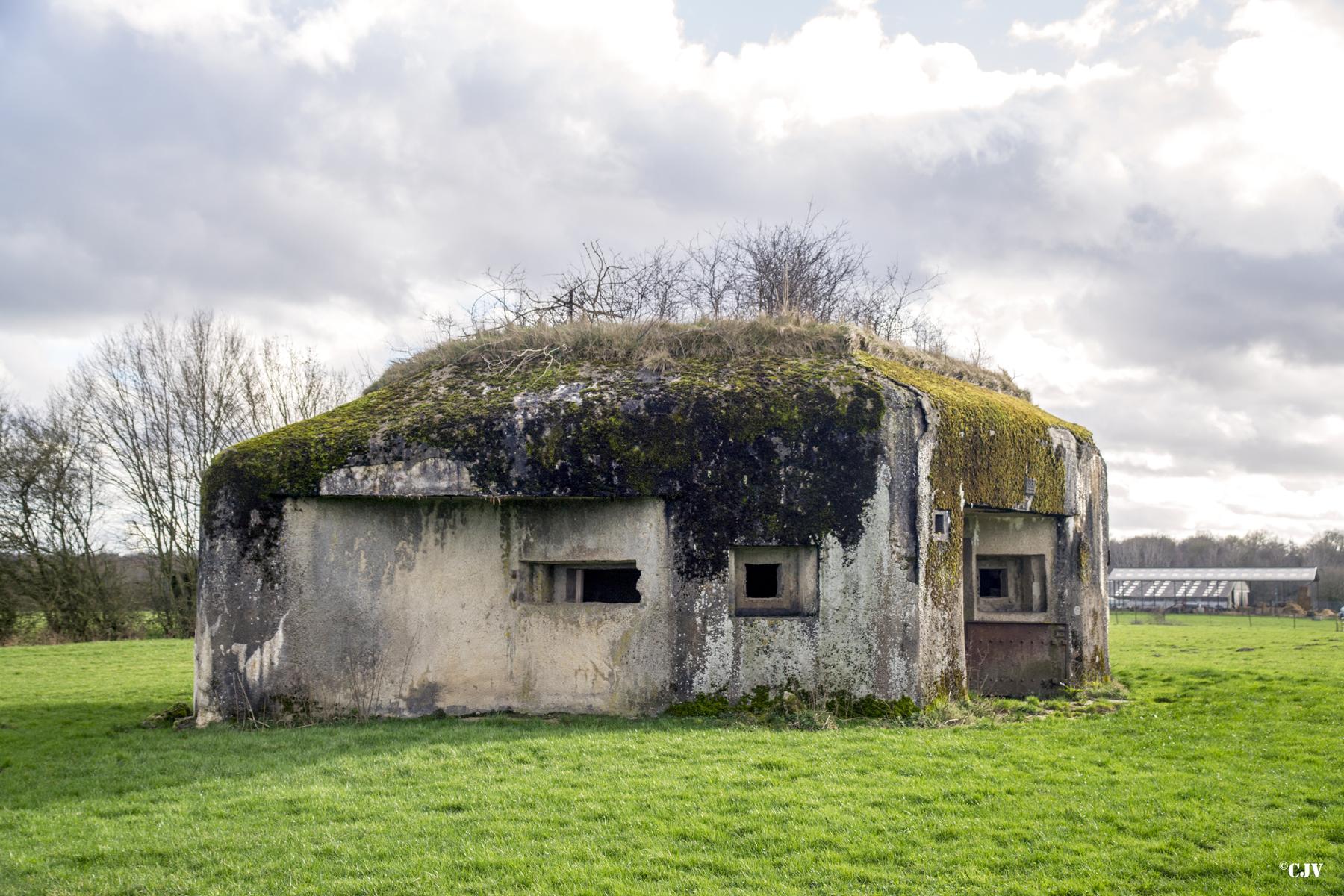 Ligne Maginot - B799 - L'ANGOUNERIE SUD - (Blockhaus pour canon) -  - Lia VERMEULEN
