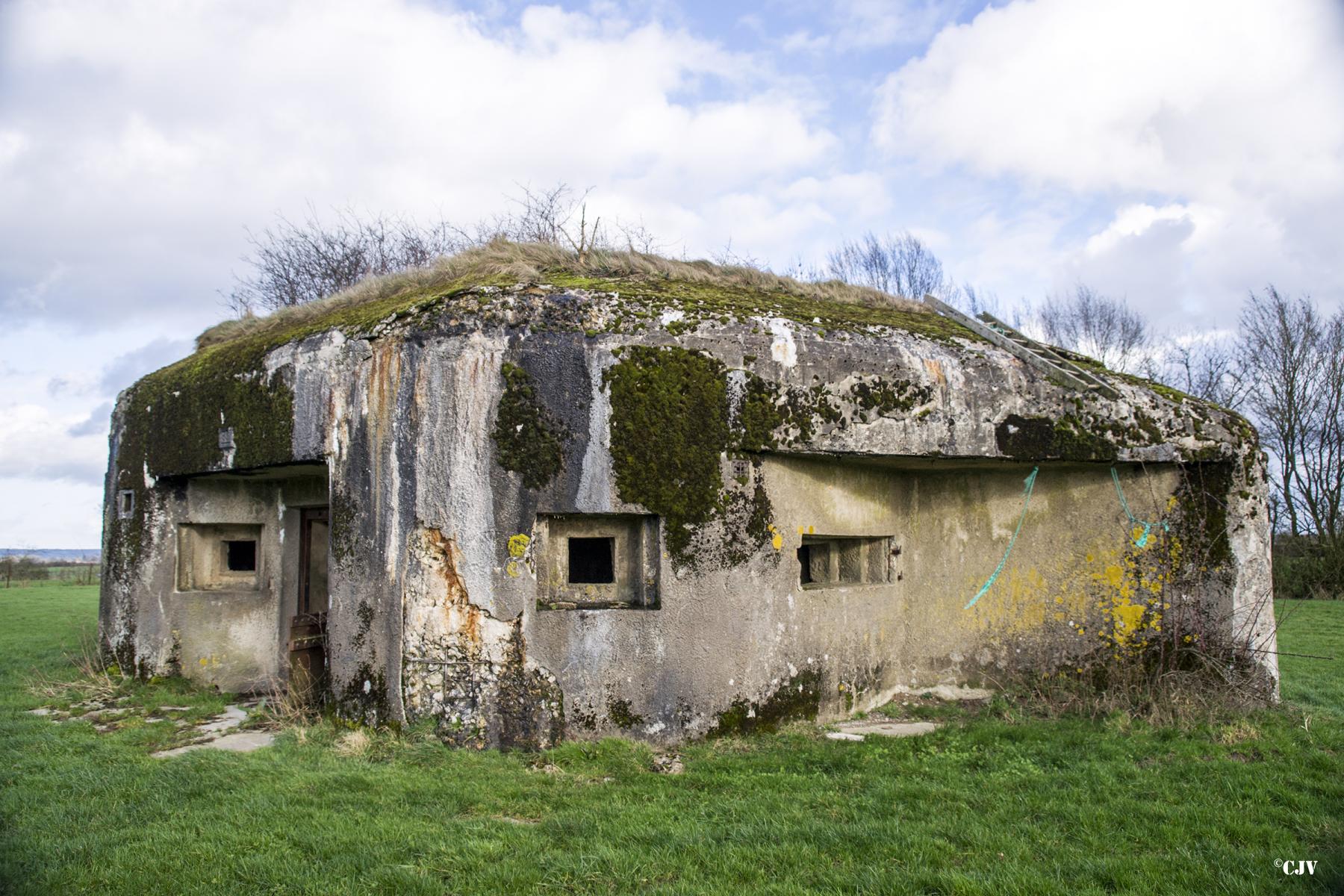 Ligne Maginot - B799 - L'ANGOUNERIE SUD - (Blockhaus pour canon) -  - Lia VERMEULEN