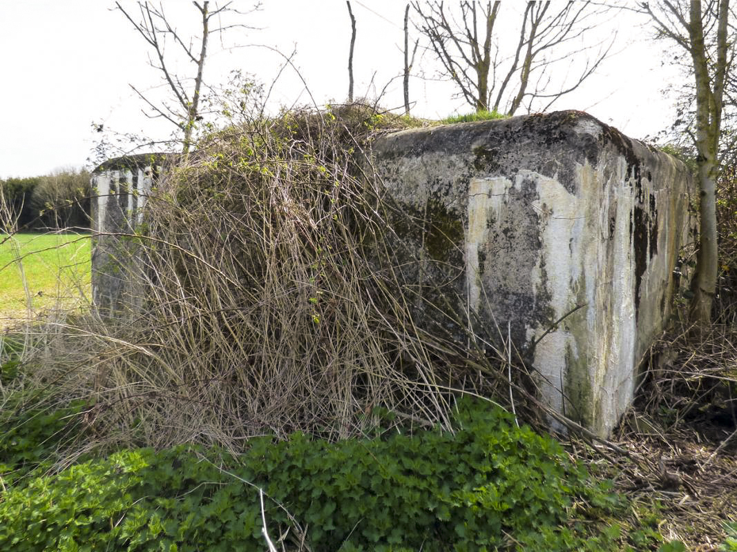 Ligne Maginot - B798 - L'ANGOUNERIE NORD - (Observatoire d'infanterie) -  - JMBrams