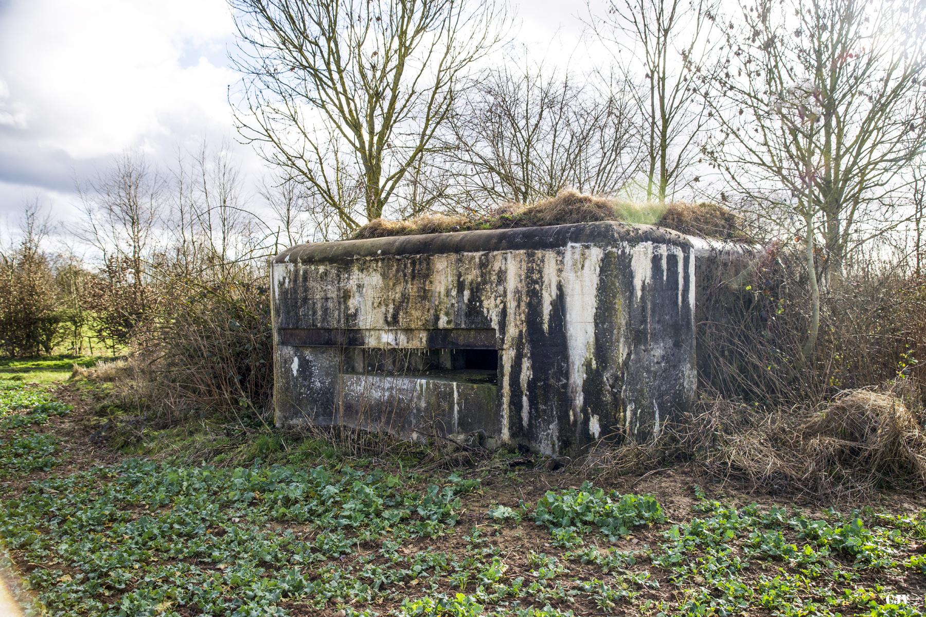 Ligne Maginot - B798 - L'ANGOUNERIE NORD - (Observatoire d'infanterie) -  - Lia VERMEULEN