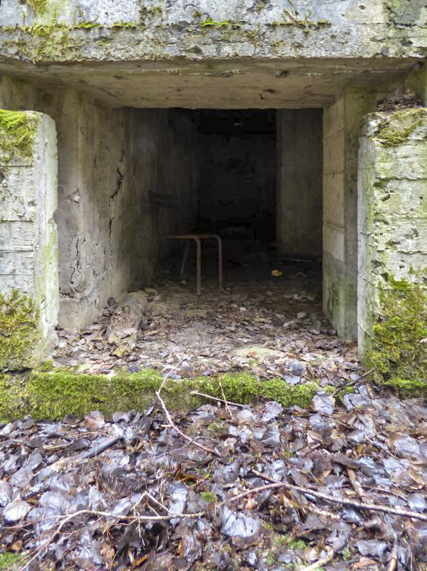 Ligne Maginot - A112 - ETANG DE LA FOLIE - (Blockhaus pour canon) -  - JMBrams