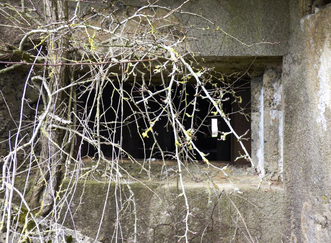 Ligne Maginot - A113 - DEMI LIEUE - (Blockhaus pour canon) -  - JMBrams