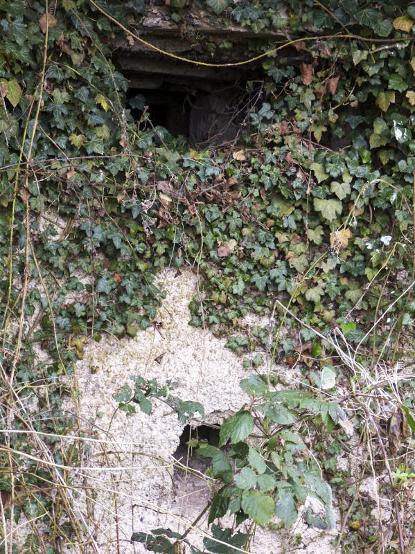 Ligne Maginot - A115 - LES CULEES SUD - (Blockhaus pour canon) -  - JMBrams