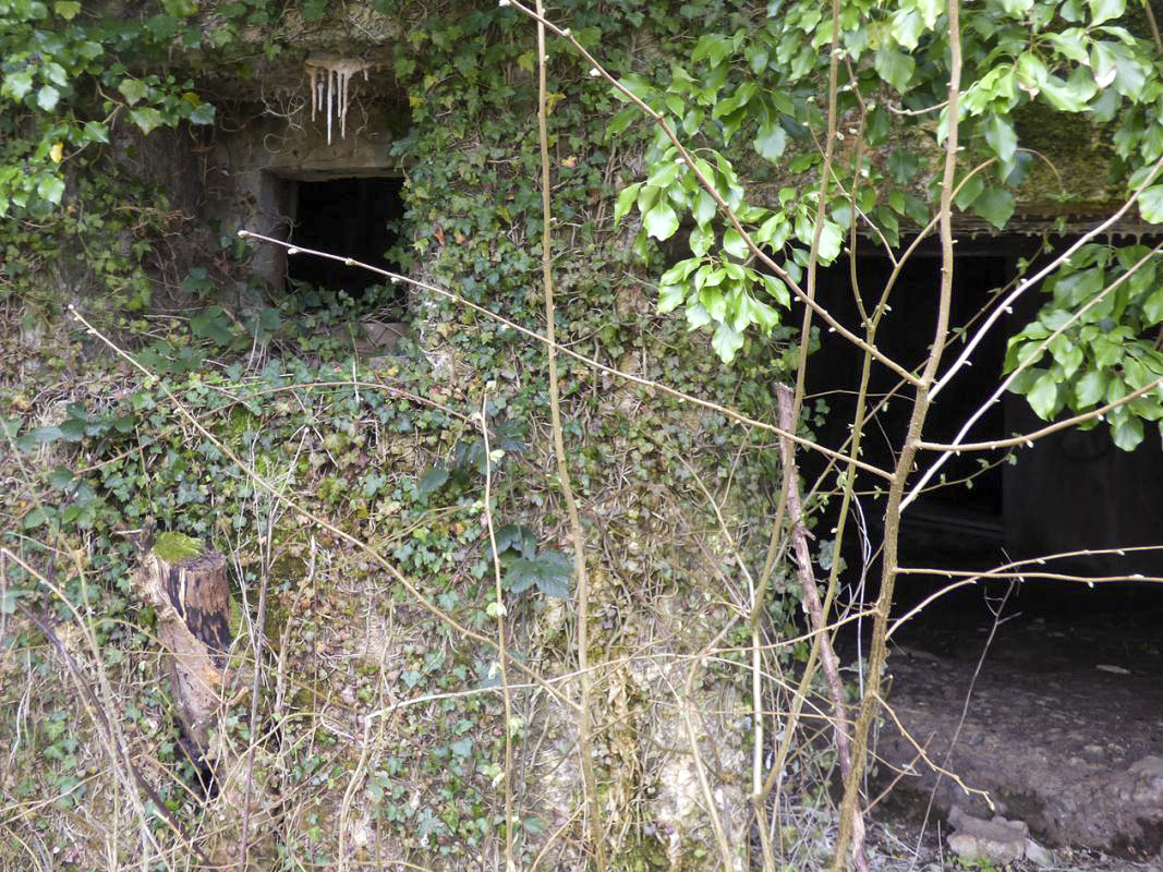 Ligne Maginot - A115 - LES CULEES SUD - (Blockhaus pour canon) -  - JMBrams