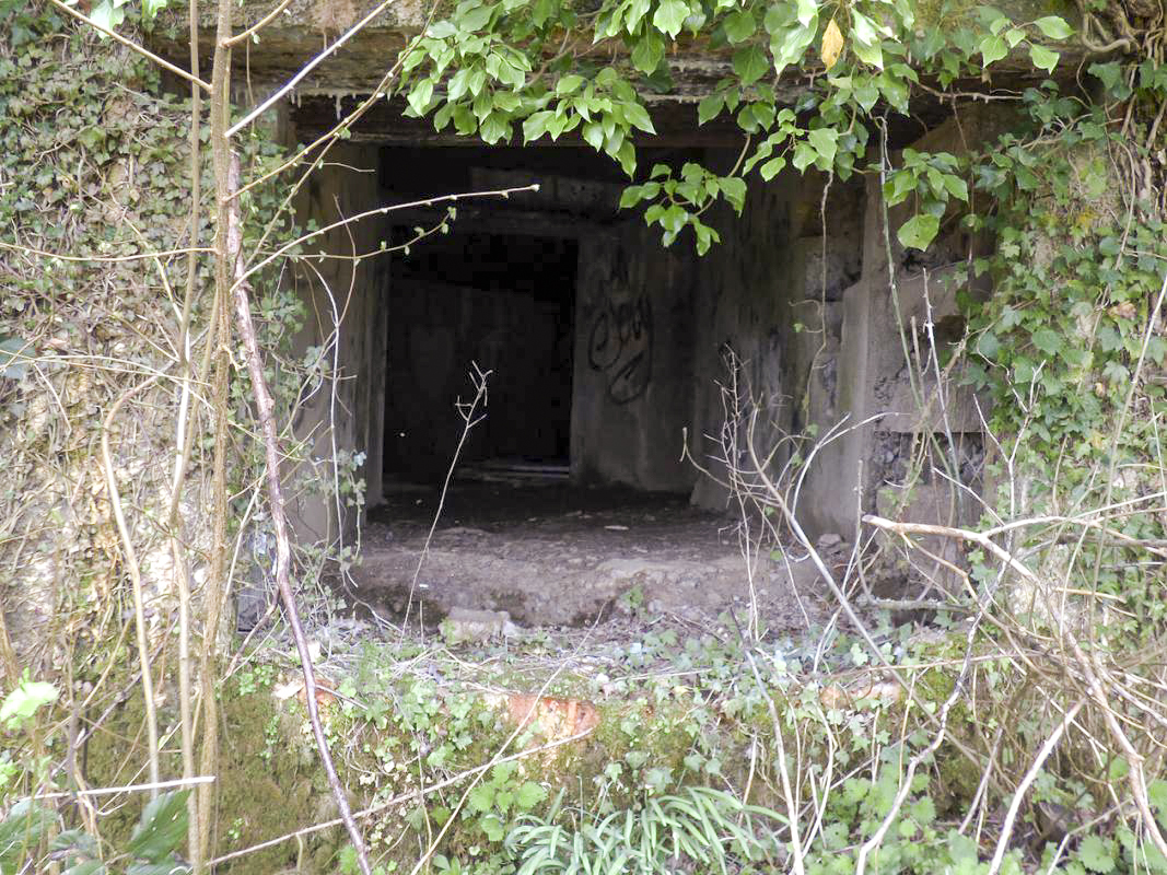 Ligne Maginot - A115 - LES CULEES SUD - (Blockhaus pour canon) -  - JMBrams