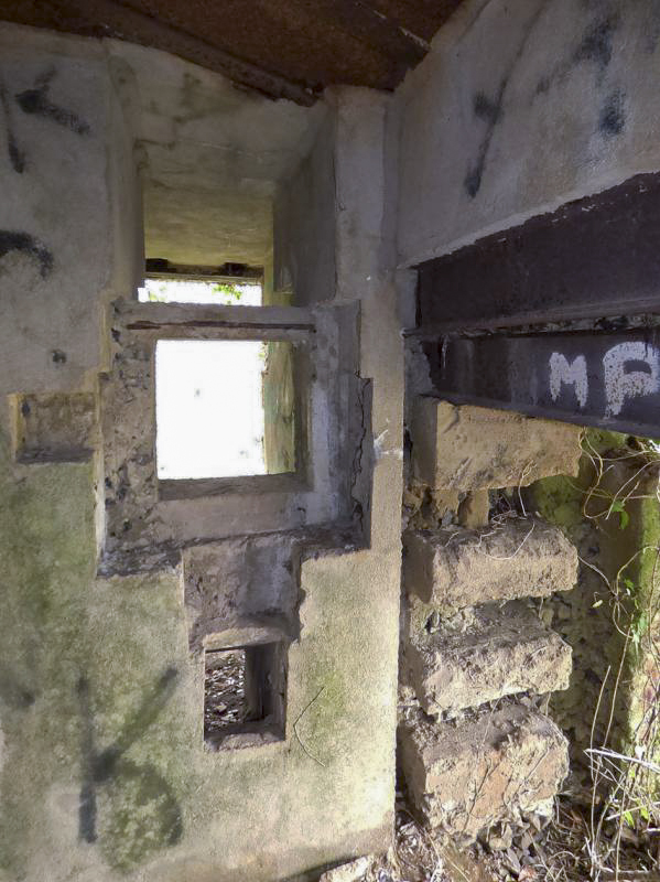 Ligne Maginot - A115 - LES CULEES SUD - (Blockhaus pour canon) -  - JMBrams