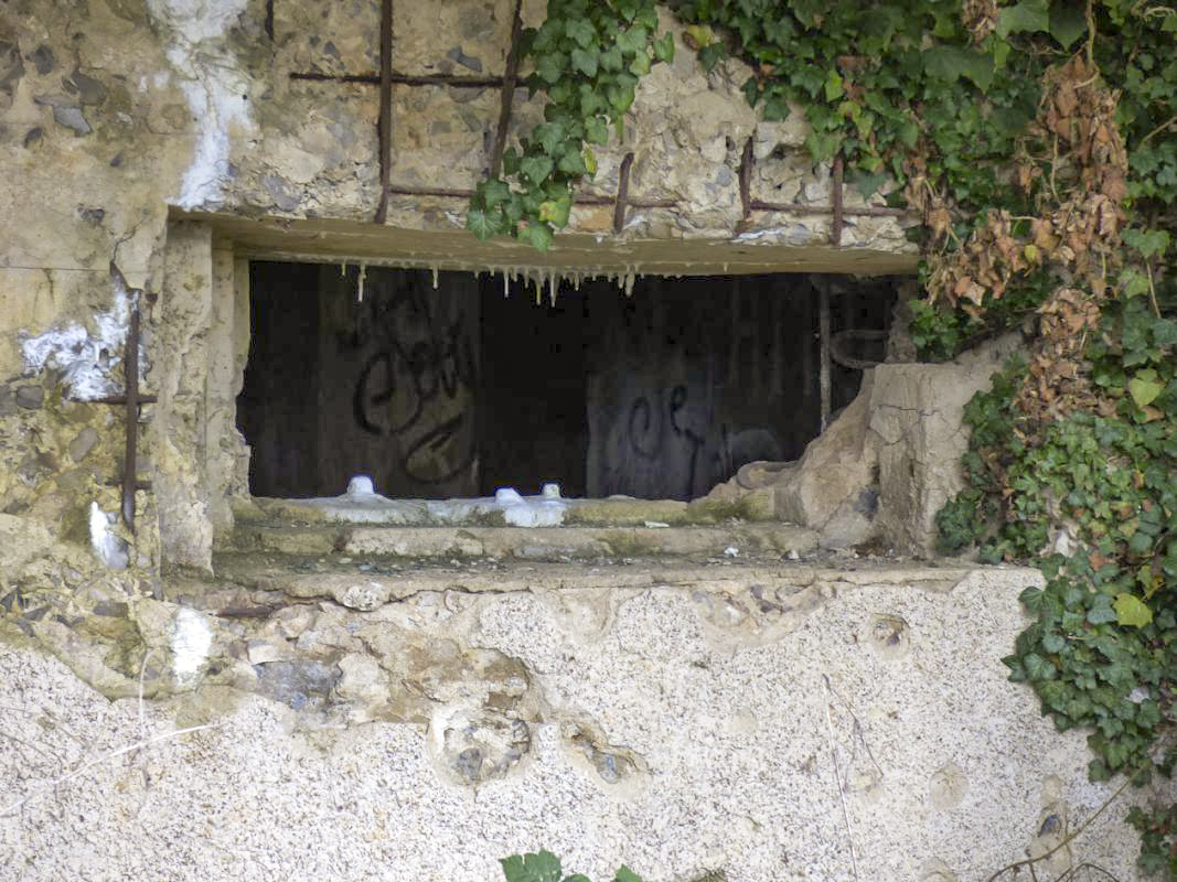 Ligne Maginot - A115 - LES CULEES SUD - (Blockhaus pour canon) -  - JMBrams