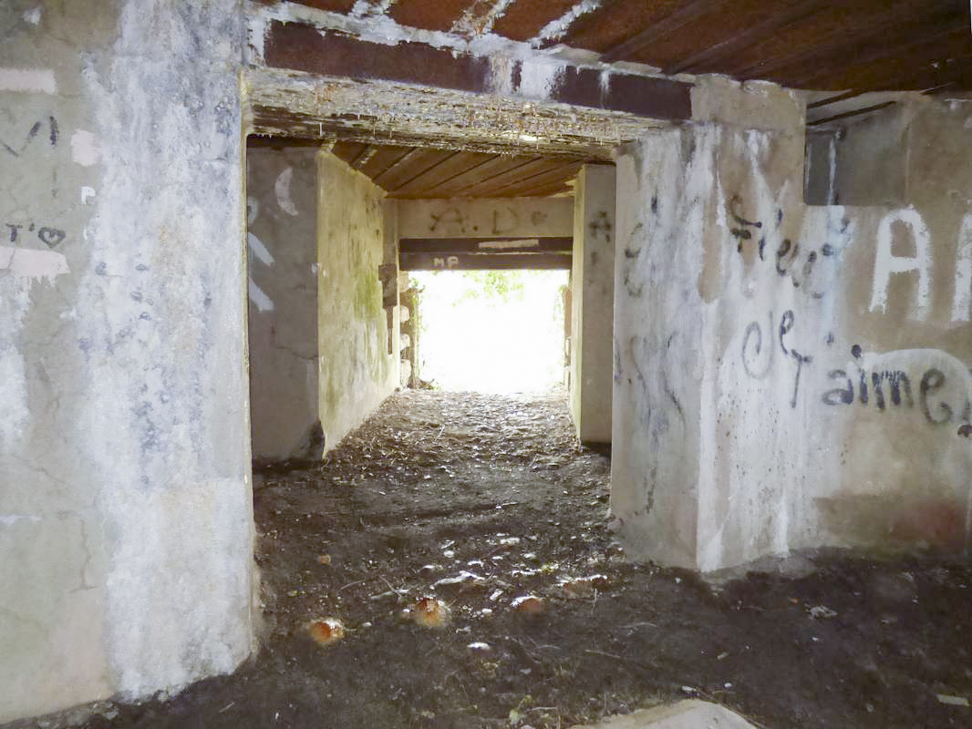 Ligne Maginot - A115 - LES CULEES SUD - (Blockhaus pour canon) -  - JMBrams