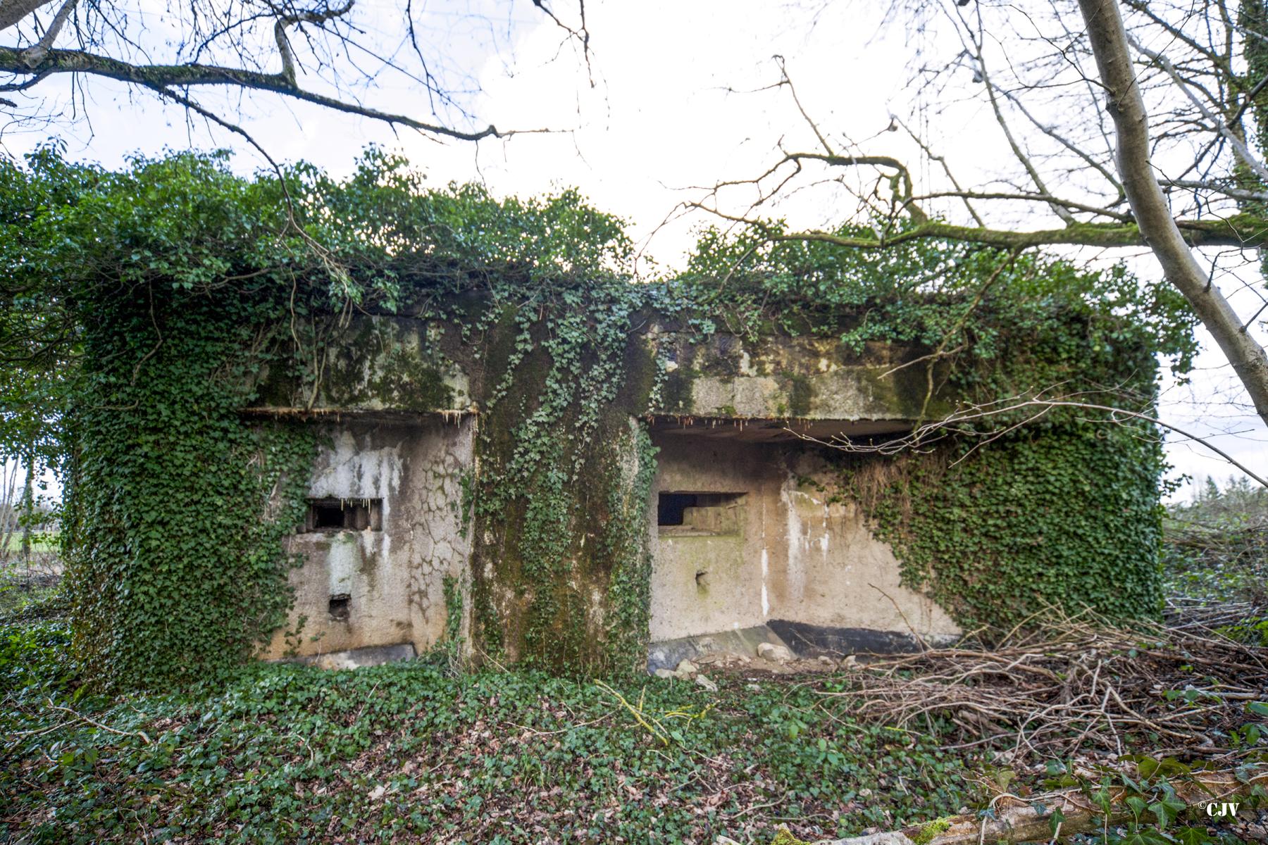 Ligne Maginot - A115 - LES CULEES SUD - (Blockhaus pour canon) -  - Lia VERMEULEN