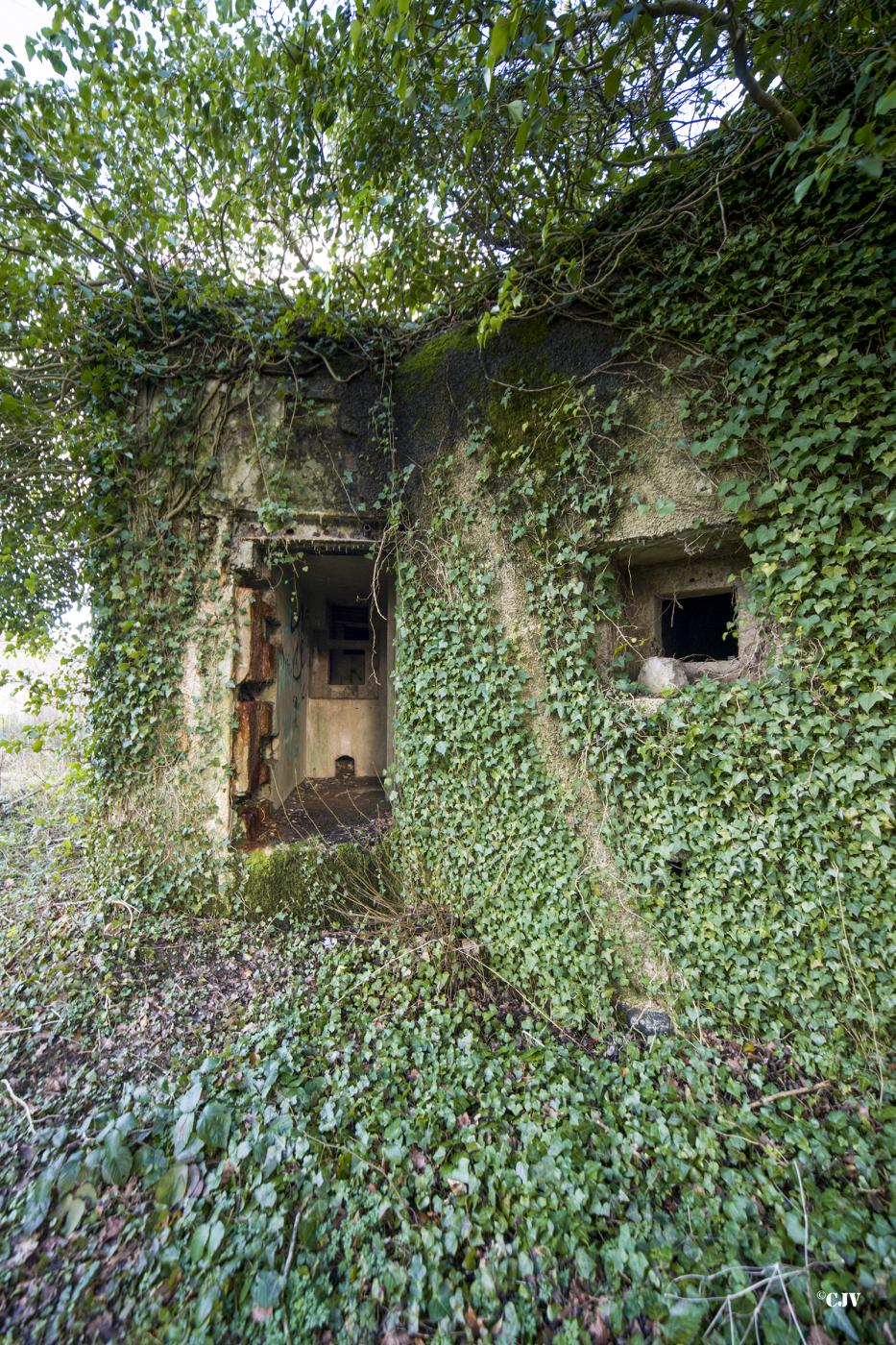 Ligne Maginot - A115 - LES CULEES SUD - (Blockhaus pour canon) -  - Lia VERMEULEN