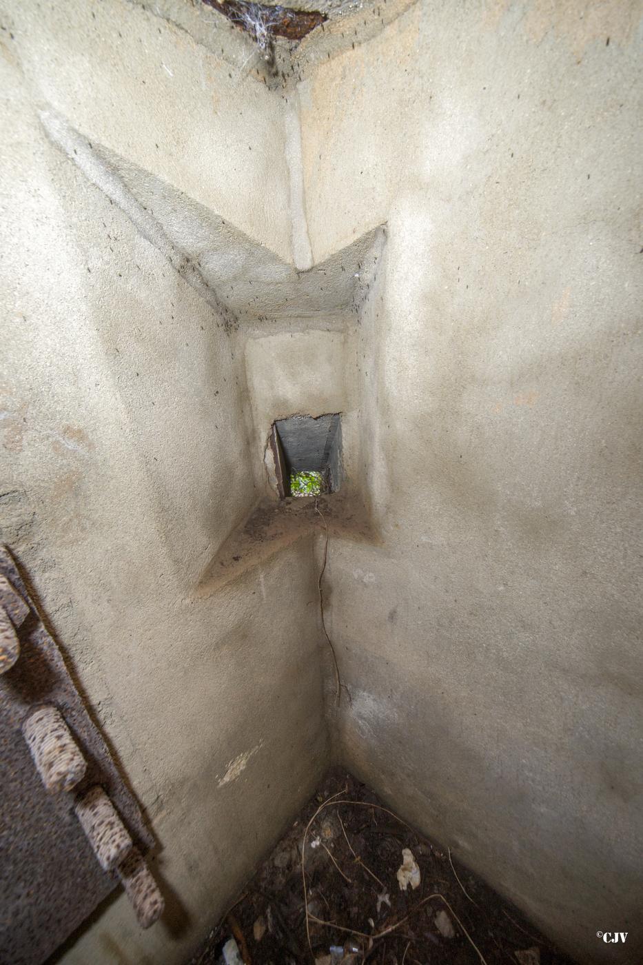 Ligne Maginot - A115 - LES CULEES SUD - (Blockhaus pour canon) - Goulotte lance grenades - Lia VERMEULEN