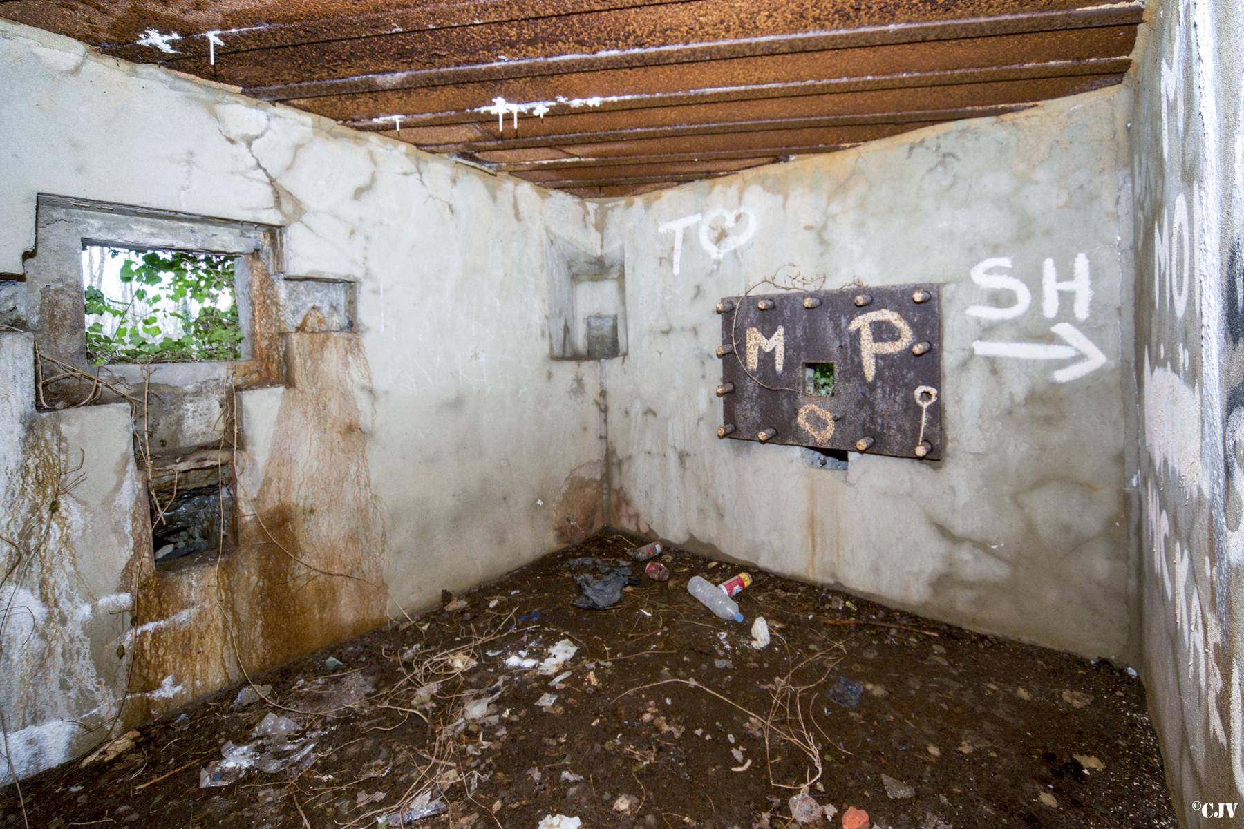Ligne Maginot - A115 - LES CULEES SUD - (Blockhaus pour canon) -  - Lia VERMEULEN
