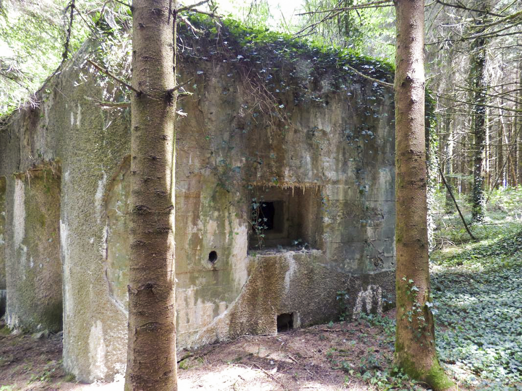 Ligne Maginot - A116 - LES ANORELLES - (Blockhaus pour canon) - L'embrasure de défense des abords - JMBrams