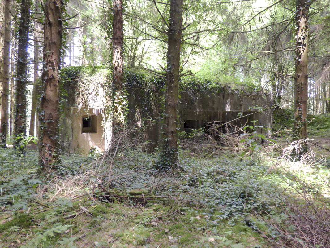 Ligne Maginot - A116 - LES ANORELLES - (Blockhaus pour canon) - A gauche : l'embrasure de défense de l'entrée des hommes. A droite : l'embrasure de défense de l'entrée du matériel et cette entrée - JMBrams