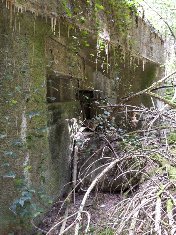 Ligne Maginot - A116 - LES ANORELLES - (Blockhaus pour canon) - L'embrasure de défense de l'entrée du matériel et cette entrée - JMBrams