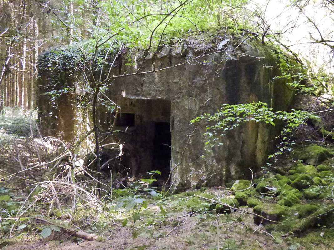 Ligne Maginot - A116 - LES ANORELLES - (Blockhaus pour canon) - L'entrée du matériel et son embrasure de défense - JMBrams