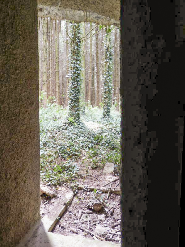 Ligne Maginot - A116 - LES ANORELLES - (Blockhaus pour canon) - L'entrée des hommes - JMBrams