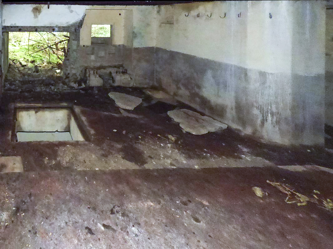 Ligne Maginot - A116 - LES ANORELLES - (Blockhaus pour canon) - Vue de l'accès au niveau inférieur, de l'entrée du matériel et embrasure FM - JMBrams