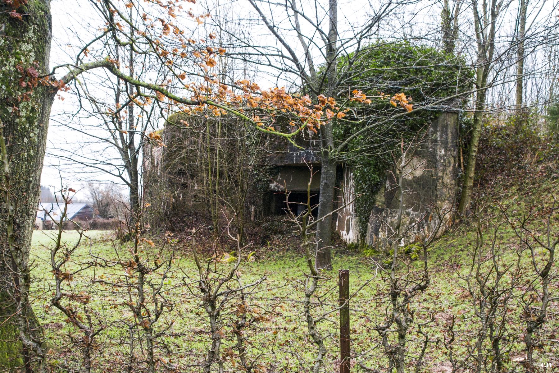Ligne Maginot - A118 - CHAPELLE BLANCHE - (Blockhaus pour canon) -  - Lia VERMEULEN