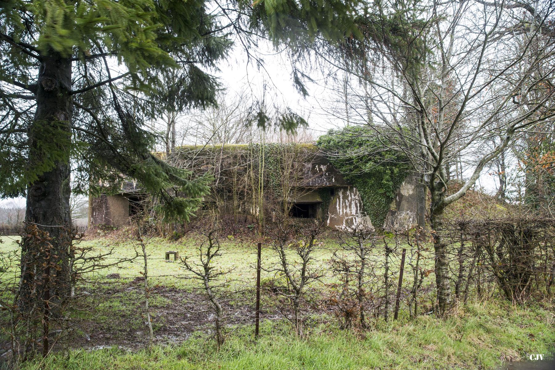 Ligne Maginot - A118 - CHAPELLE BLANCHE - (Blockhaus pour canon) -  - Lia VERMEULEN