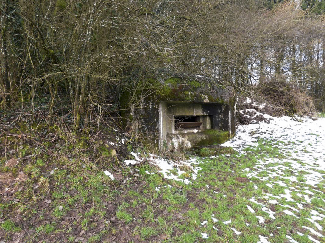 Ligne Maginot - B822 - SAINT HUBERT - (Blockhaus pour canon) -  - JMBrams