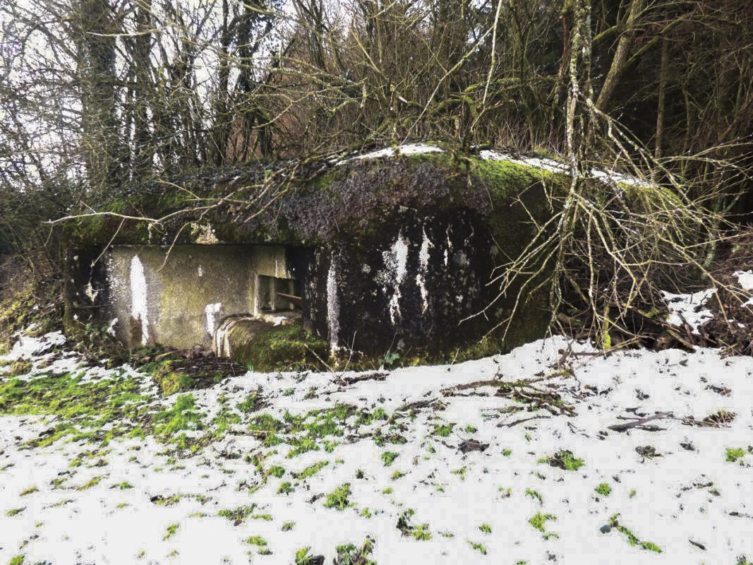 Ligne Maginot - B822 - SAINT HUBERT - (Blockhaus pour canon) -  - JMBrams