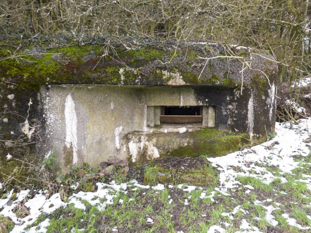 Ligne Maginot - B822 - SAINT HUBERT - (Blockhaus pour canon) -  - JMBrams