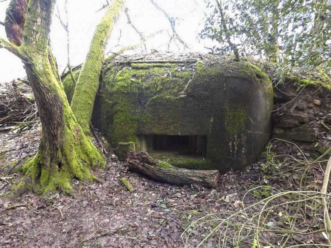 Ligne Maginot - B822 - SAINT HUBERT - (Blockhaus pour canon) -  - JMBrams