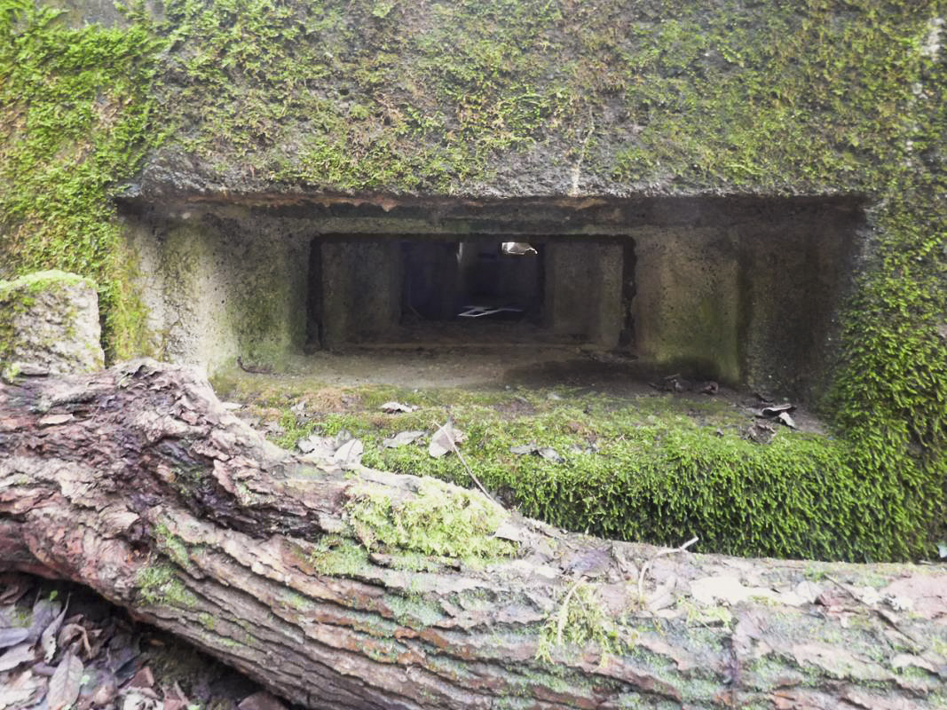 Ligne Maginot - B822 - SAINT HUBERT - (Blockhaus pour canon) -  - JMBrams