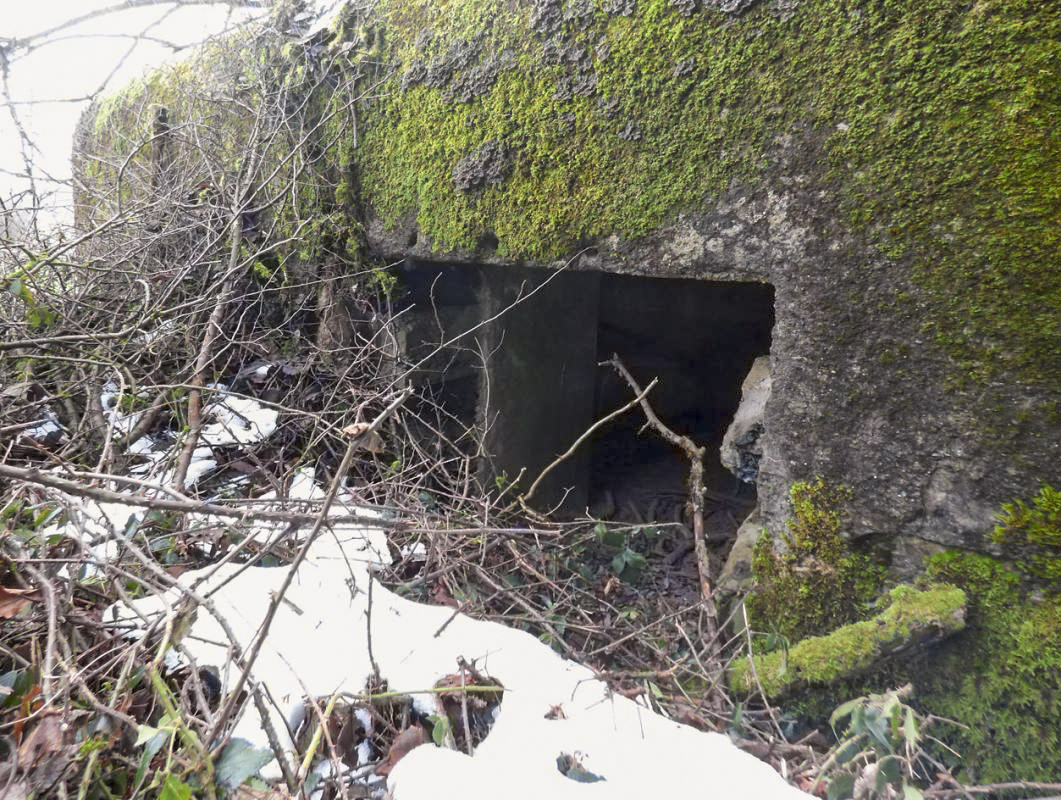 Ligne Maginot - B822 - SAINT HUBERT - (Blockhaus pour canon) -  - JMBrams