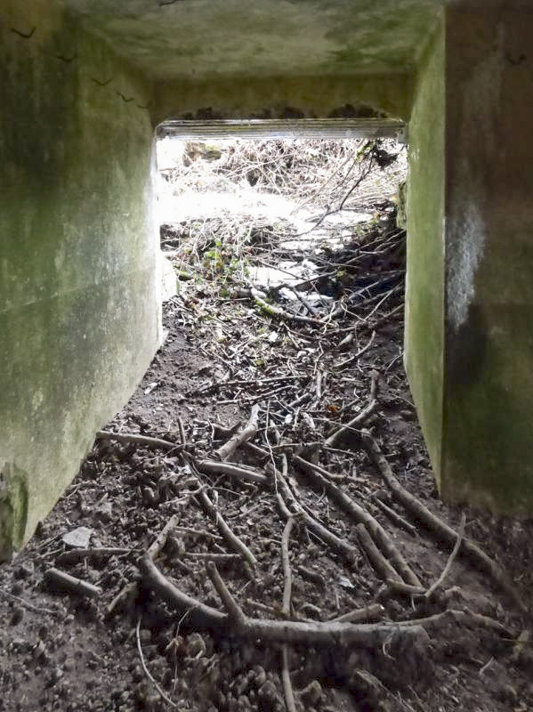 Ligne Maginot - B822 - SAINT HUBERT - (Blockhaus pour canon) -  - JMBrams
