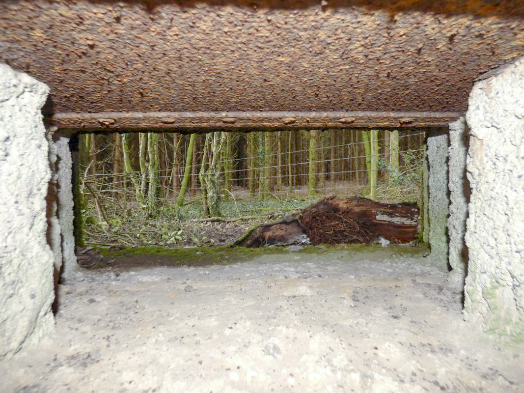 Ligne Maginot - B822 - SAINT HUBERT - (Blockhaus pour canon) -  - JMBrams