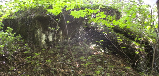 Ligne Maginot - B820 - LA TAILLE COLIN - (Observatoire d'infanterie) -  - Randonneur62