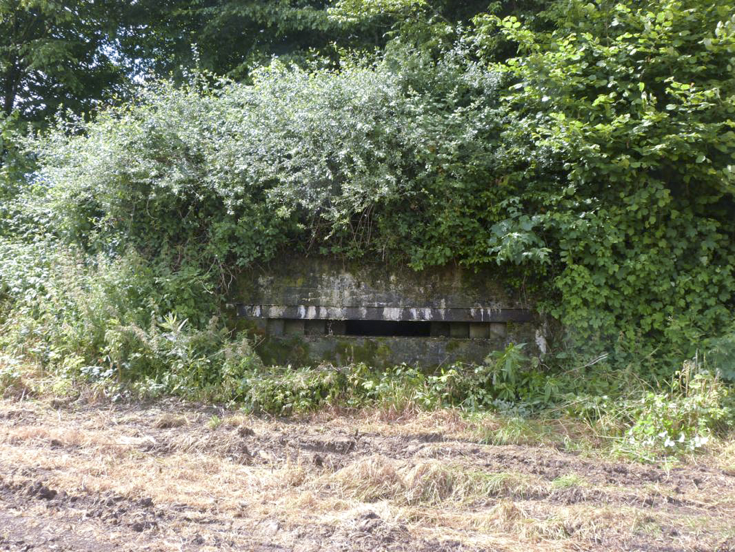 Ligne Maginot - B820 - LA TAILLE COLIN - (Observatoire d'infanterie) -  - JMBrams