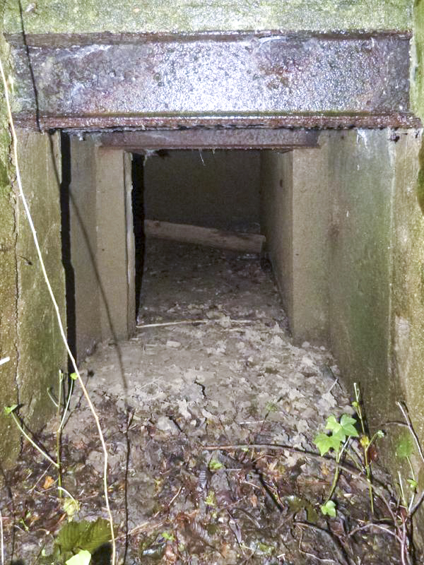 Ligne Maginot - B820 - LA TAILLE COLIN - (Observatoire d'infanterie) -  - JMBrams