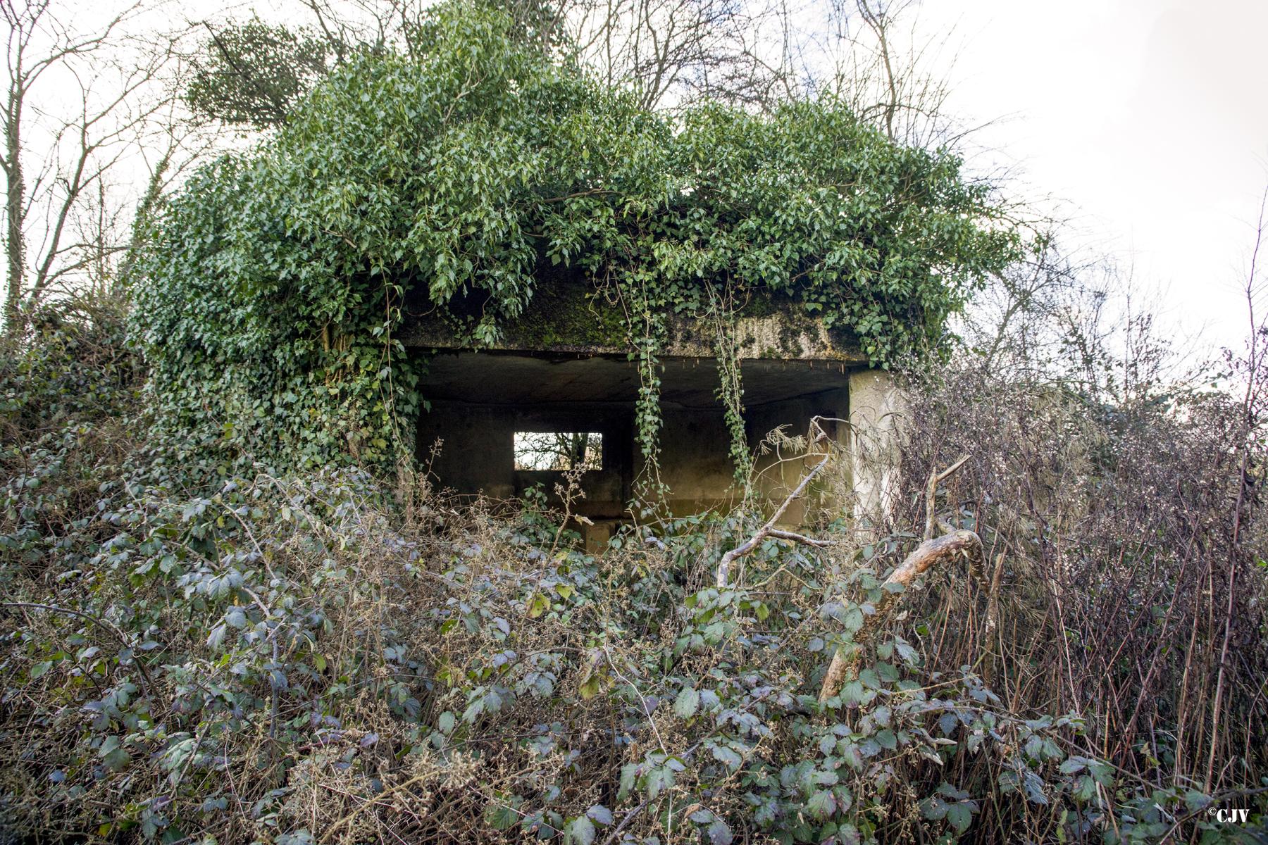 Ligne Maginot - B819 - BEAUWELTZ - (Blockhaus pour canon) -  - Lia VERMEULEN