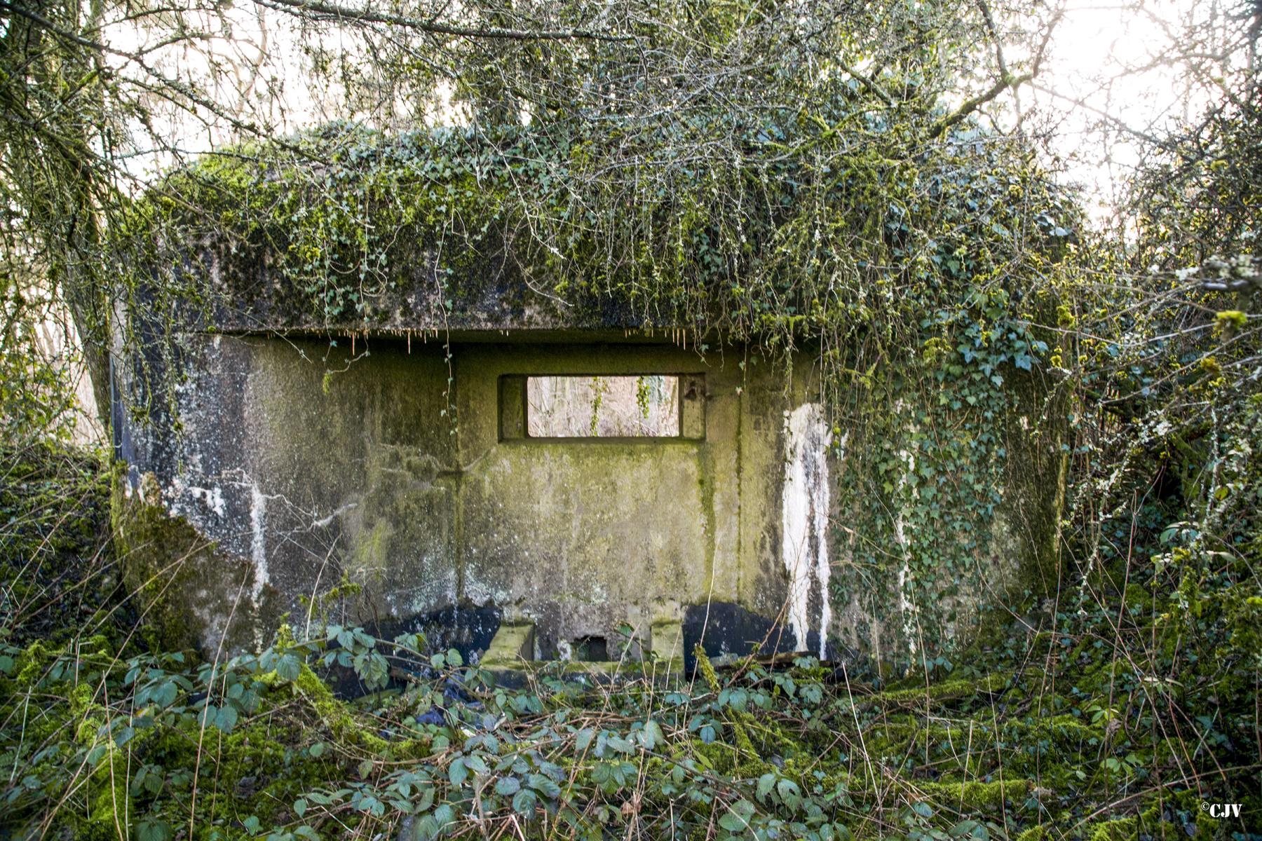 Ligne Maginot - B819 - BEAUWELTZ - (Blockhaus pour canon) -  - Lia VERMEULEN