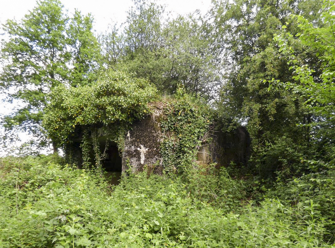 Ligne Maginot - B819 - BEAUWELTZ - (Blockhaus pour canon) -  - JMBrams