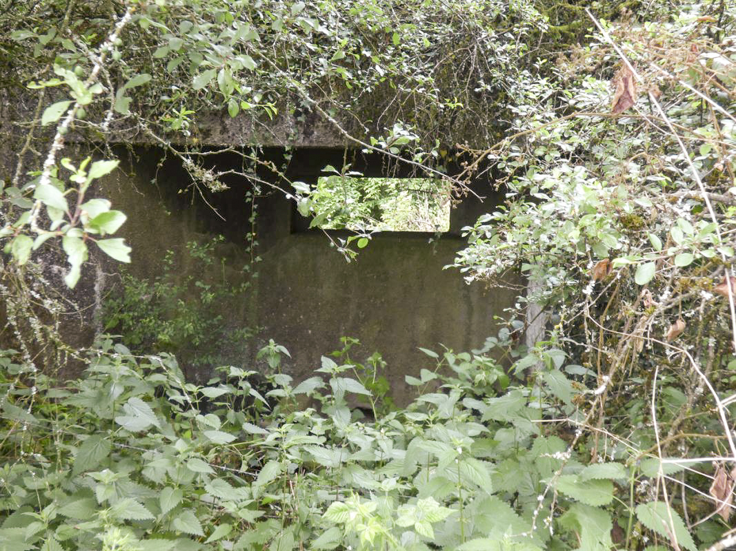 Ligne Maginot - B819 - BEAUWELTZ - (Blockhaus pour canon) -  - Brams