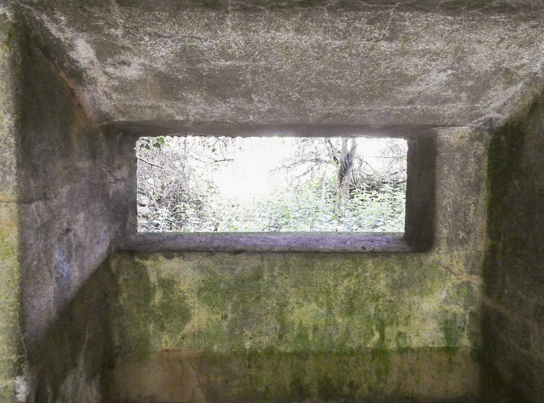 Ligne Maginot - B819 - BEAUWELTZ - (Blockhaus pour canon) -  - Brams