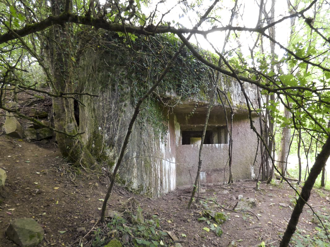 Ligne Maginot - B818 - LA TAILLE LAMBEAUX - (Blockhaus pour canon) - Flanquement gauche - JMBrams