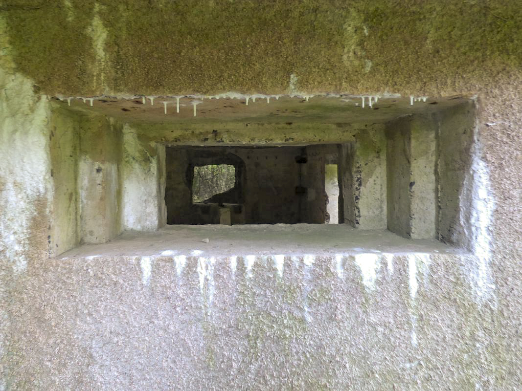 Ligne Maginot - B818 - LA TAILLE LAMBEAUX - (Blockhaus pour canon) - Flanquement gauche
Embrasure pour canon 25AC - JMBrams
