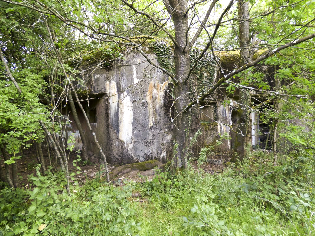 Ligne Maginot - B818 - LA TAILLE LAMBEAUX - (Blockhaus pour canon) - Entre flanquement gauche et entrées - JMBrams