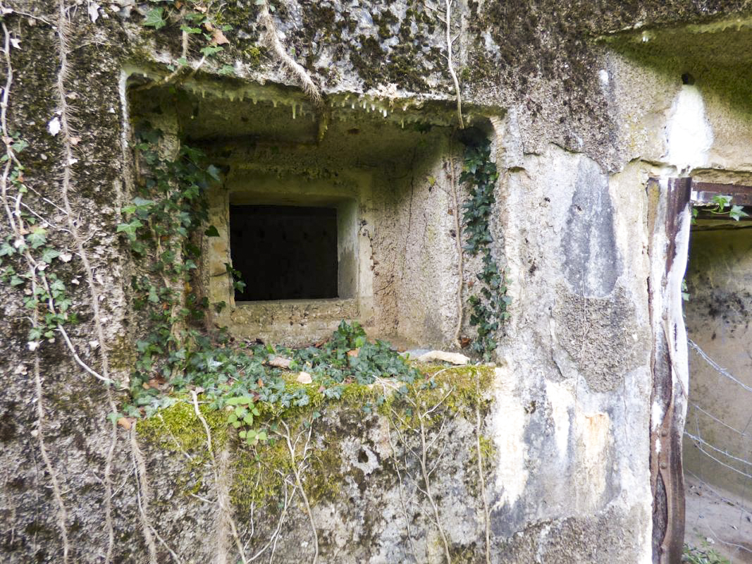Ligne Maginot - B818 - LA TAILLE LAMBEAUX - (Blockhaus pour canon) - Embrasure FM située près de l'entrée du matériel - JMBrams