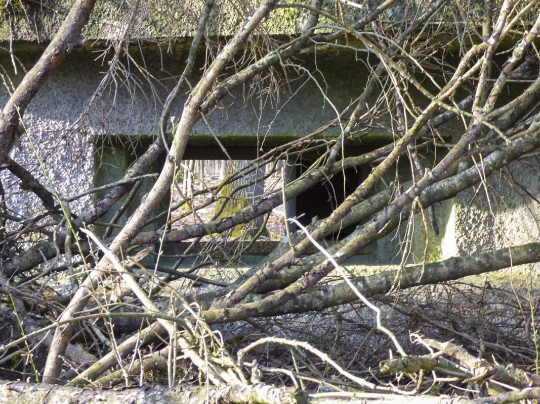 Ligne Maginot - B765 - ROUTE DE MOUSTIERS - (Blockhaus pour canon) -  - JMBrams