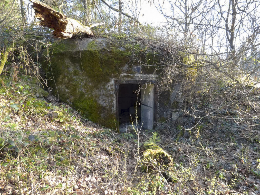 Ligne Maginot - B765 - ROUTE DE MOUSTIERS - (Blockhaus pour canon) -  - JMBrams