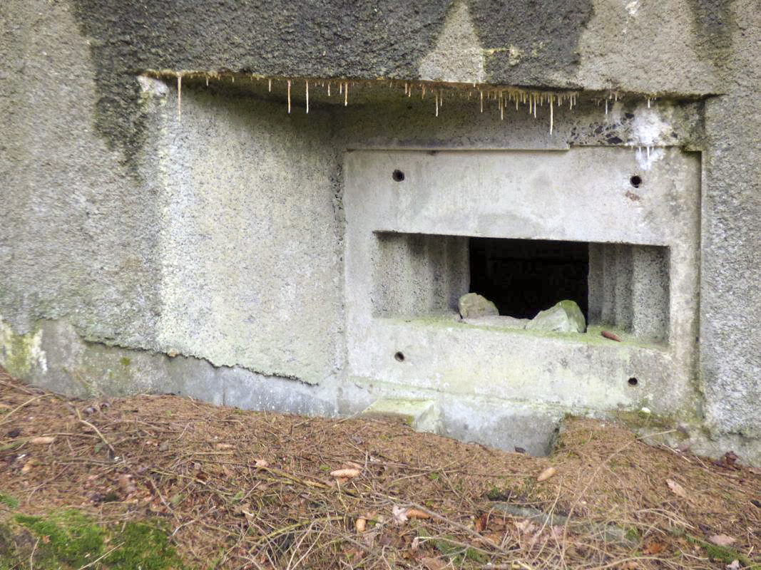 Ligne Maginot - B766 - CARREFOUR DE BLOIS - (Blockhaus pour canon) -  - JMBrams