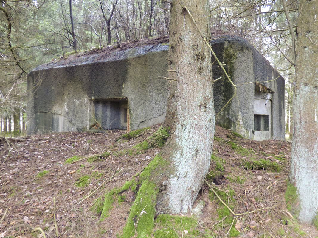 Ligne Maginot - B766 - CARREFOUR DE BLOIS - (Blockhaus pour canon) -  - JMBrams
